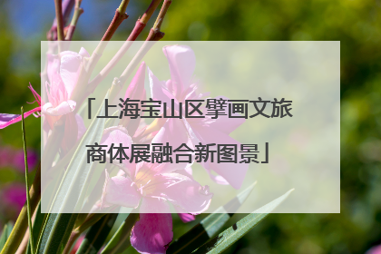 上海宝山区擘画文旅商体展融合新图景