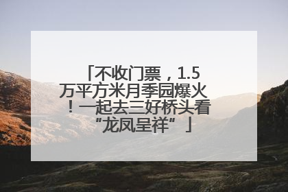 不收门票，1.5万平方米月季园爆火！一起去三好桥头看“龙凤呈祥”