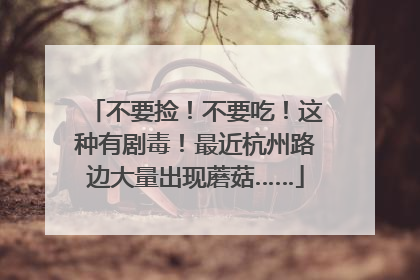 不要捡！不要吃！这种有剧毒！最近杭州路边大量出现蘑菇……