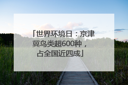 世界环境日：京津冀鸟类超600种，占全国近四成