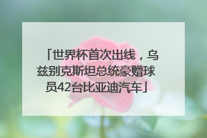 世界杯首次出线，乌兹别克斯坦总统豪赠球员42台比亚迪汽车