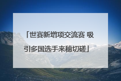 世赛新增项交流赛 吸引多国选手来穗切磋
