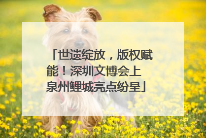 世遗绽放，版权赋能！深圳文博会上 泉州鲤城亮点纷呈