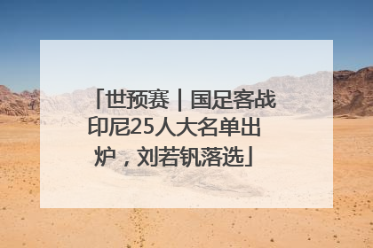 世预赛｜国足客战印尼25人大名单出炉，刘若钒落选