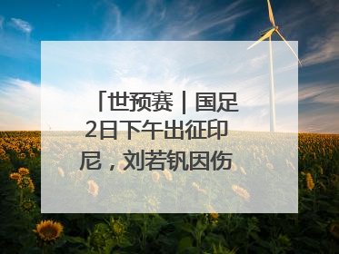 世预赛｜国足2日下午出征印尼，刘若钒因伤落选大名单