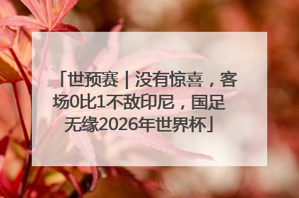 世预赛｜没有惊喜，客场0比1不敌印尼，国足无缘2026年世界杯