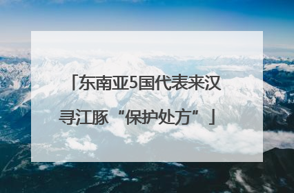东南亚5国代表来汉寻江豚“保护处方”