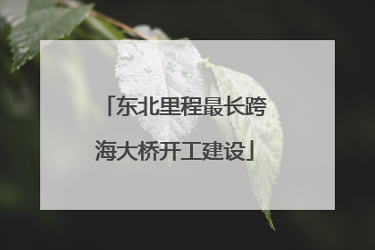 东北里程最长跨海大桥开工建设