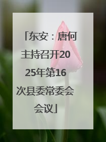 东安：唐何主持召开2025年第16次县委常委会会议