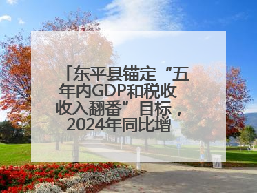 东平县锚定“五年内GDP和税收收入翻番”目标，2024年同比增长5.8%