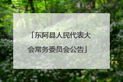 东阿县人民代表大会常务委员会公告