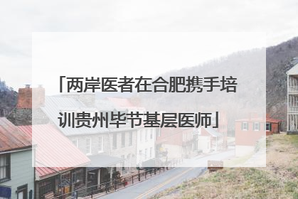 两岸医者在合肥携手培训贵州毕节基层医师