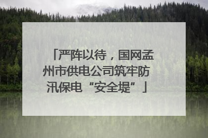 严阵以待，国网孟州市供电公司筑牢防汛保电“安全堤”