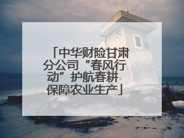 中华财险甘肃分公司“春风行动”护航春耕 保障农业生产