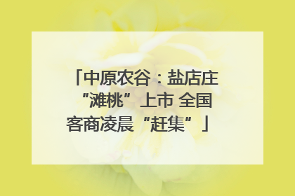 中原农谷：盐店庄“滩桃”上市 全国客商凌晨“赶集”