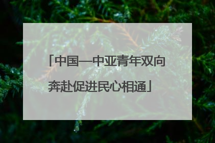 中国—中亚青年双向奔赴促进民心相通