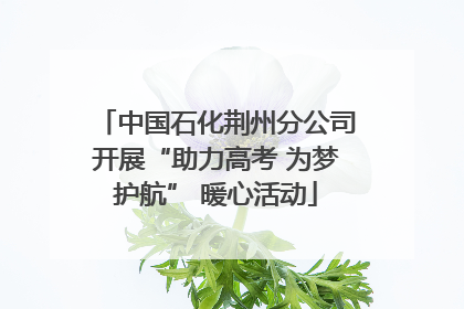 中国石化荆州分公司开展“助力高考 为梦护航” 暖心活动