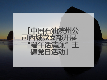 中国石油滨州公司西城党支部开展“端午话清廉”主题党日活动