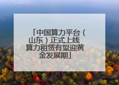 中国算力平台（山东）正式上线 算力租赁有望迎黄金发展期