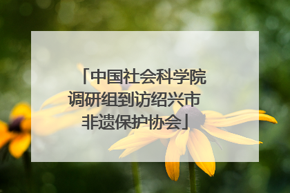 中国社会科学院调研组到访绍兴市非遗保护协会