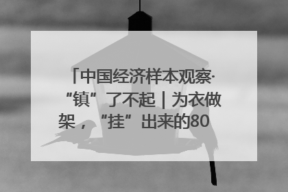 中国经济样本观察·“镇”了不起｜为衣做架，“挂”出来的80亿元“衣架产业”