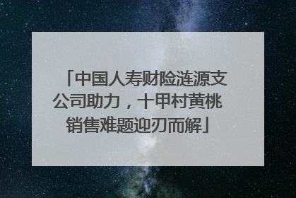 中国人寿财险涟源支公司助力，十甲村黄桃销售难题迎刃而解