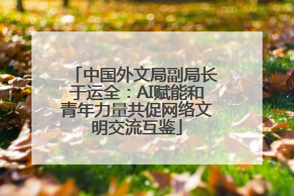 中国外文局副局长于运全：AI赋能和青年力量共促网络文明交流互鉴