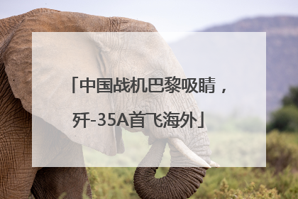 中国战机巴黎吸睛，歼-35A首飞海外