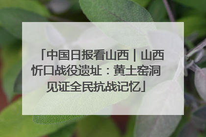 中国日报看山西｜山西忻口战役遗址：黄土窑洞见证全民抗战记忆