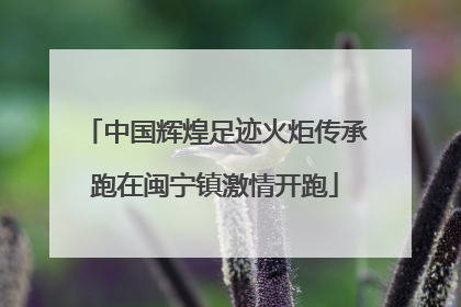 中国辉煌足迹火炬传承跑在闽宁镇激情开跑