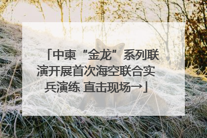 中柬“金龙”系列联演开展首次海空联合实兵演练 直击现场→