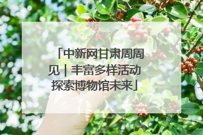 中新网甘肃周周见|丰富多样活动探索博物馆未来