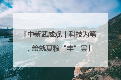 中新武威观｜科技为笔，绘就夏粮“丰”景