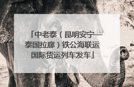 中老泰（昆明安宁—泰国拉廊）铁公海联运国际货运列车发车