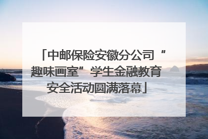 中邮保险安徽分公司“趣味画室”学生金融教育安全活动圆满落幕
