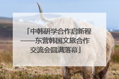 中韩研学合作启新程——东营韩国文旅合作交流会圆满落幕