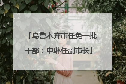 乌鲁木齐市任免一批干部：申琳任副市长