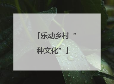 乐动乡村“种文化”