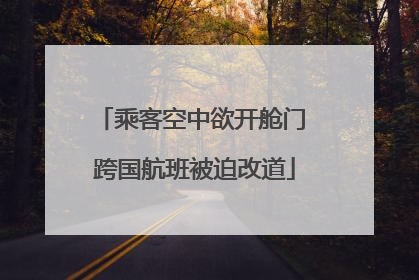 乘客空中欲开舱门 跨国航班被迫改道