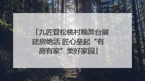 九匠登松桃村晚舞台展建房绝活 匠心垒起“有房有家”美好家园