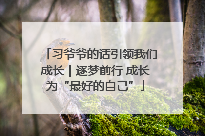 习爷爷的话引领我们成长｜逐梦前行 成长为“最好的自己”
