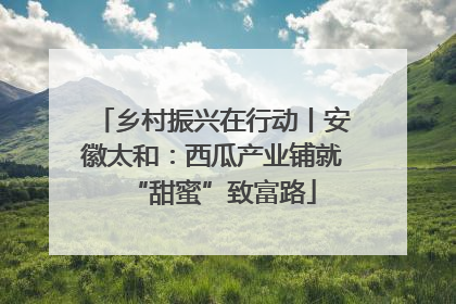 乡村振兴在行动丨安徽太和：西瓜产业铺就“甜蜜”致富路
