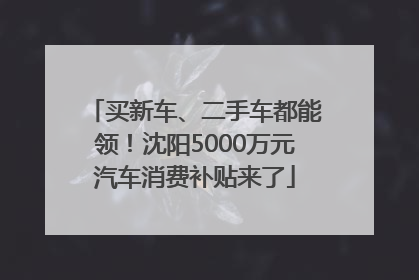 买新车、二手车都能领！沈阳5000万元汽车消费补贴来了