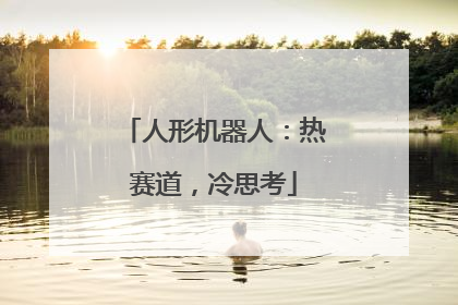 人形机器人：热赛道，冷思考