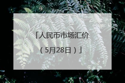 人民币市场汇价（5月28日）