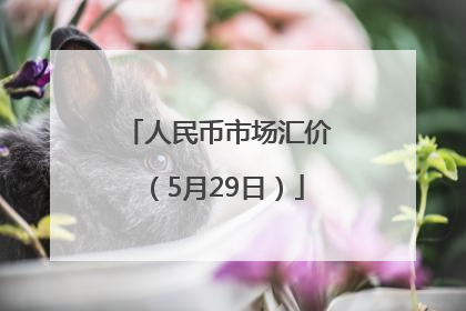 人民币市场汇价（5月29日）