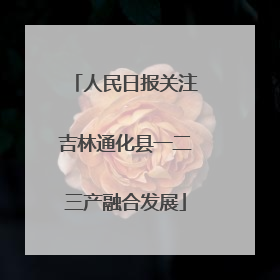 人民日报关注吉林通化县一二三产融合发展