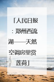 人民日报：郑州西流湖——天然空调房里赏莲荷