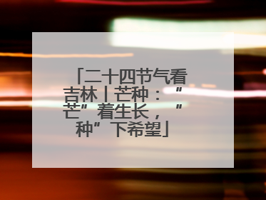 二十四节气看吉林丨芒种：“芒”着生长，“种”下希望
