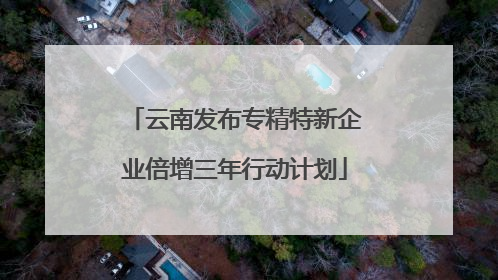 云南发布专精特新企业倍增三年行动计划